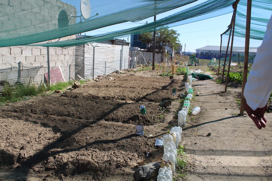 Members in CTAPD shirts holding garden tools at the Du Noon project